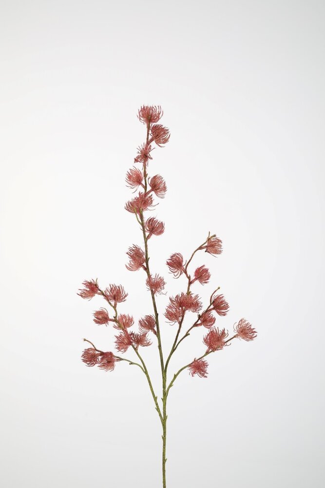 Zijden kunstbloem Clematis Zijden kunstbloem Clematis