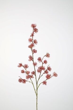 Zijden kunstbloem Clematis Zijden kunstbloem Clematis