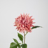 Kunstbloem Dahlia Kunstbloem Dahlia