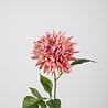 Zijden kunstbloem Dahlia Zijden kunstbloem Dahlia
