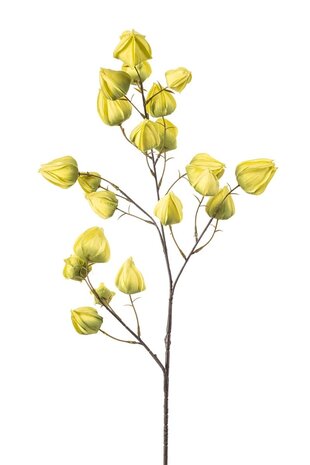 Zijden kunstbloem groene Lampion - 95 cm