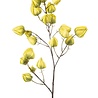 Zijden kunstbloem groene Lampion - 95 cm