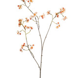 Kunstbloem Kardinaalsmuts Kunstbloem Kardinaalsmuts