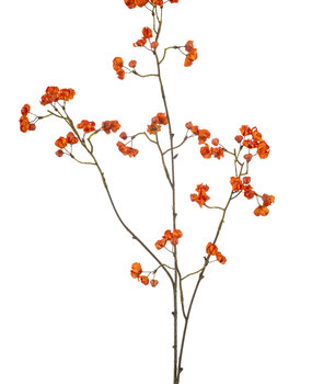 Kunstbloem Kardinaalsmuts Oranje Kunstbloem Kardinaalsmuts Oranje