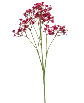 Kunstbloem Gips cerise Kunstbloem Gips cerise