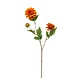 Dahlia vertakt oranje Dahlia vertakt oranje