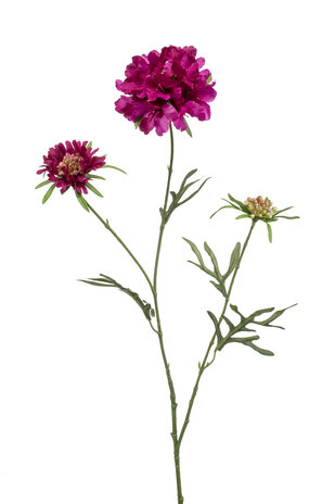 Zijden kunstbloem Scabiosa Zijden kunstbloem Scabiosa