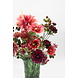 Herfst Jade 75 cm Herfst Jade 75 cm