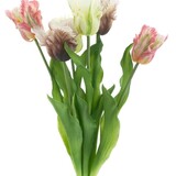 Boeket papegaai Tulpen