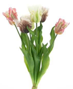 Boeket papegaai Tulpen