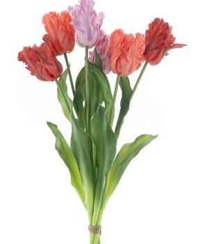 Boeket papegaai Tulpen