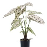 Kunstplant Caladium
