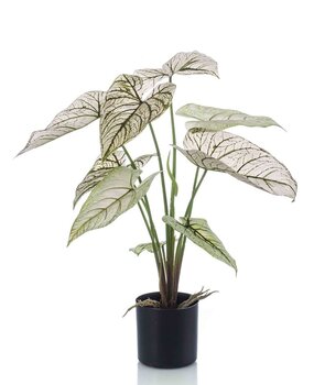 Kunstplant Caladium Kunstplant Caladium
