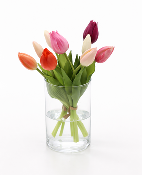 Boeketje tulpen