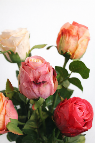 Boeket rozen 5 stuks