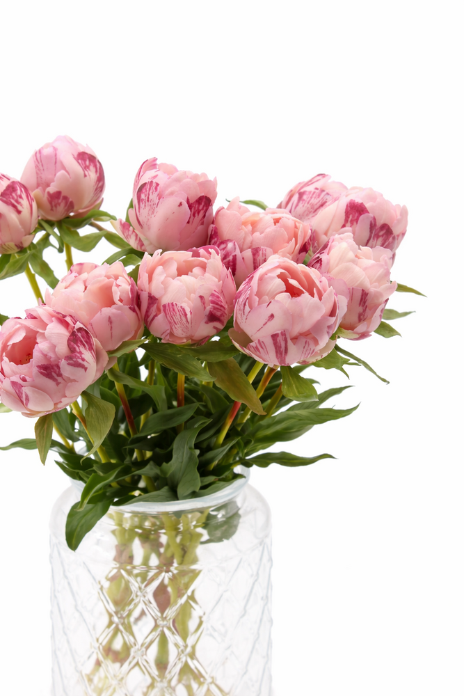 Zijden kunstbloem pioenroos per 3 - 48 cm