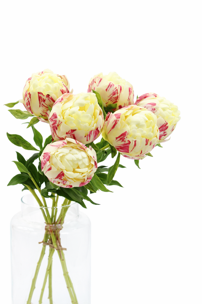 Zijden kunstbloem pioenroos per 3 - 63cm