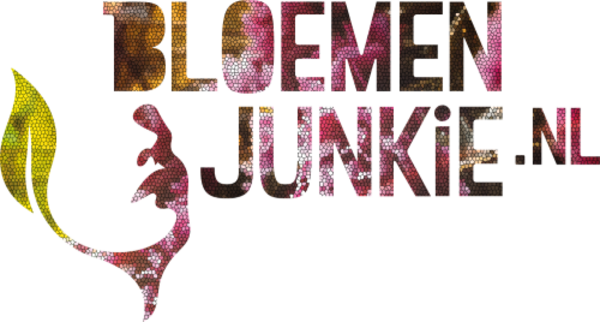 Sale boeket instagram Sale boeket instagram