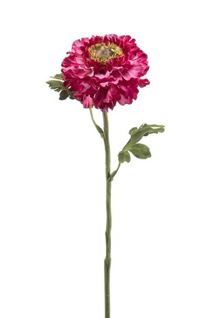 Zijden kunstbloem Ranonkel 60 cm