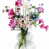 Boeket tuinbloemen incl vaasje Boeket tuinbloemen incl vaasje