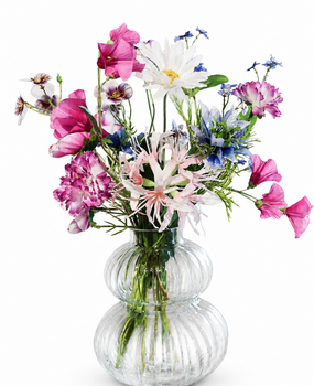 Boeket tuinbloemen incl vaasje Boeket tuinbloemen incl vaasje