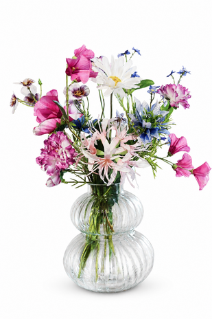 Boeket tuinbloemen incl vaasje Boeket tuinbloemen incl vaasje