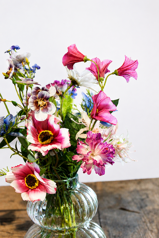 Boeket tuinbloemen incl vaasje Boeket tuinbloemen incl vaasje