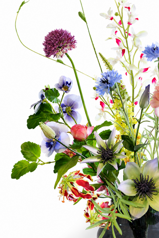 Hitte deal veldbloemen