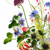 Hitte deal veldbloemen