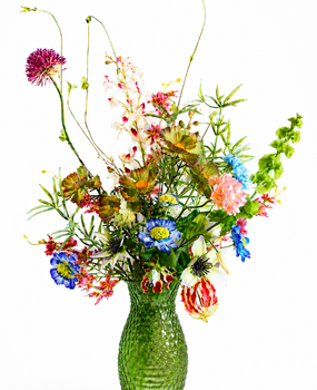 Hitte deal veldbloemen