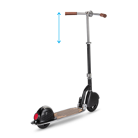 Micro Navigator - 2-wheel folding scooter - retro style - built-in compass - Black