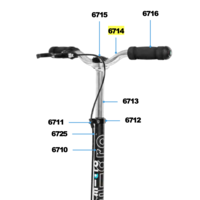 Steer Downtown (6714)