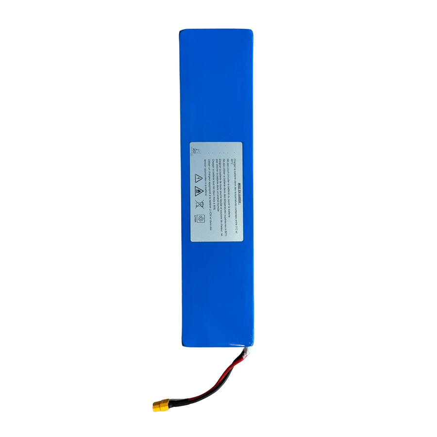 Battery for Micro Merlin electric scooter (5431)