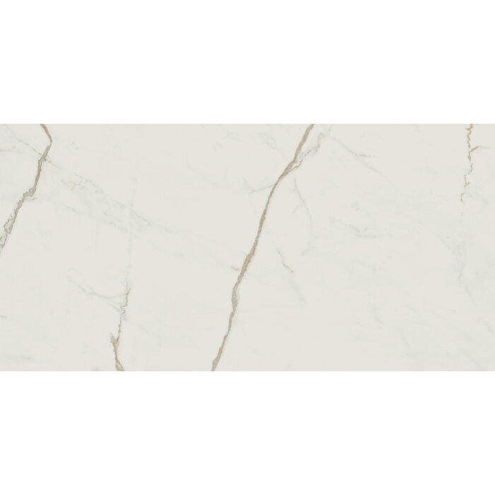 Atlas Concorde Solution Exigo Calacatta gepolijst 30x60 rett