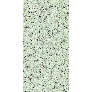 Energieker Medley terrazzo Leaf 60x120 rett