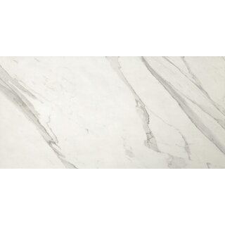 FAP Ceramiche Roma Statuario mat 30x60 rett