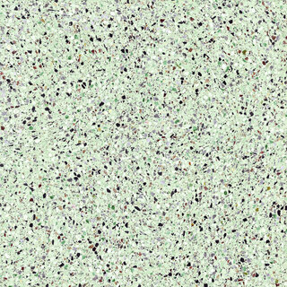 Energieker Medley terrazzo Leaf 120x120 rett
