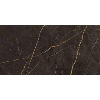 Energieker Saint Laurent polished 30x60 rett