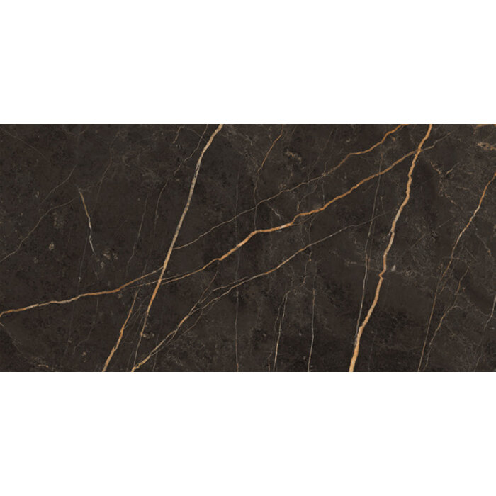 Energieker Saint Laurent polished 30x60 rett