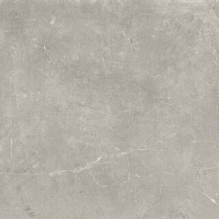 Baldocer Cerámica Concept Grey gepolijst 120x120 rett
