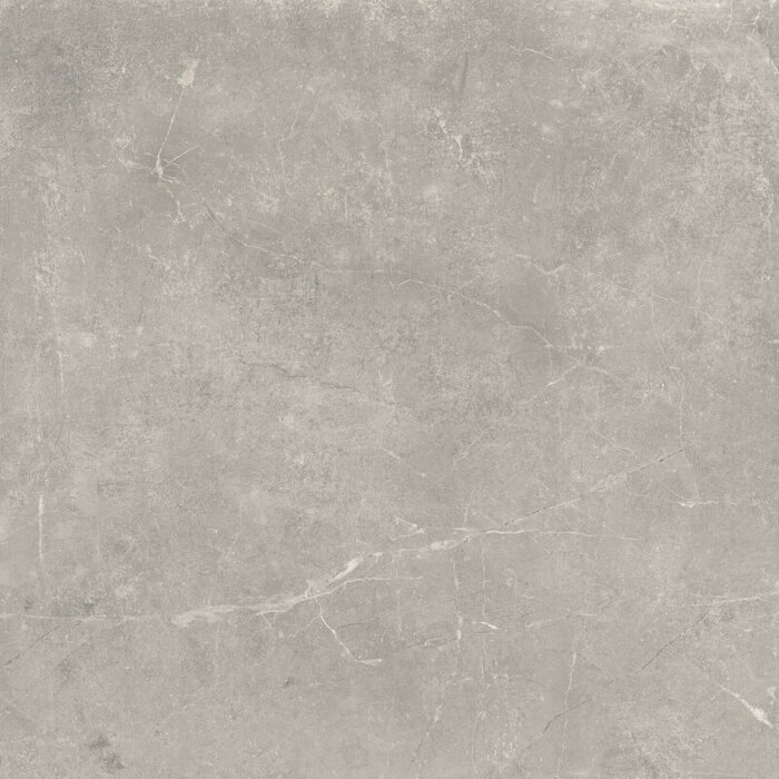 Baldocer Cerámica Concept Grey gepolijst 120x120 rett