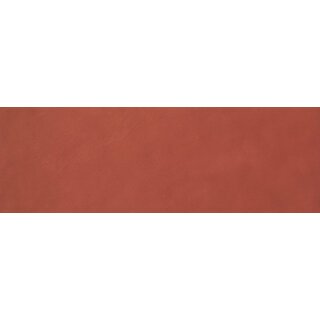 FAP Ceramiche FAP Color Line Marsala 25x75