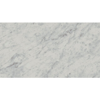 Atlas Concorde Solution Exigo Carrara wandtegel gepolijst 30,5x56 rett