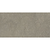 Cifre Cerámica Munich Taupe wandtegel 25x50
