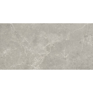 Baldocer Cerámica Concept Grey gepolijst 60x120 rett