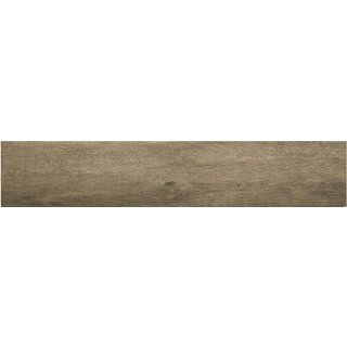 STN Ceramica Merbau Viejo 23,3x120