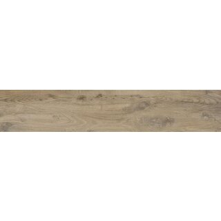 Cifre Cerámica Nebraska Elm 23x120