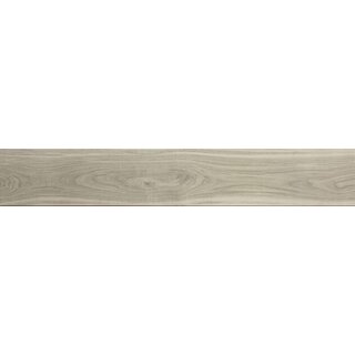 FAP Ceramiche Fapnest Silver 20x120