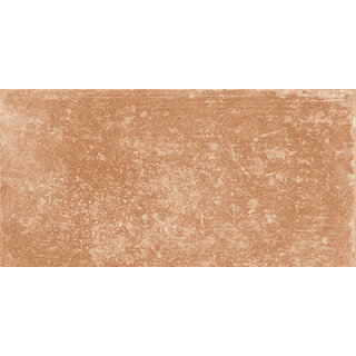 Energieker Antichi Amori Canossa 15x30