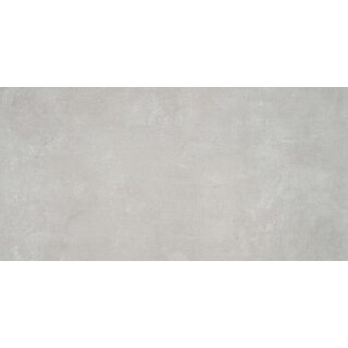Huismerk tegels Indeed Silver 60x120 rett